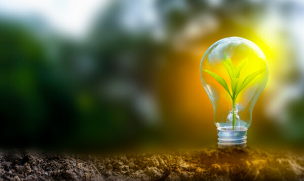 Renewable energy concept Earth Day or environment protection Han clean energy nh